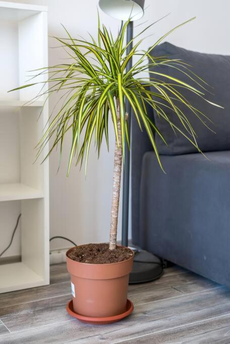 Apartament Tokio *